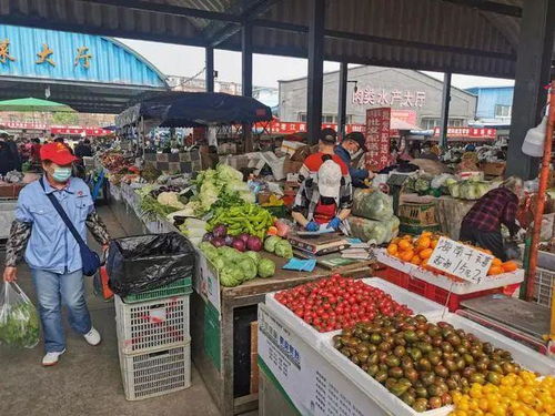 雙峪農副產品批發市場 筑牢疫情防線，守護百姓“菜籃子”安全