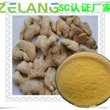 農副產品加工廠 專注姜類產品，推動產業升級